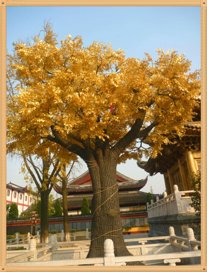 镇寺之宝灵雨观音和五佛冠~东林寺（二）